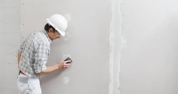 Best Wall Texturing and Painting  in Pleasant Hill, IA