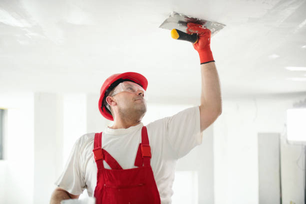 Best Drywall Crack Repair  in Pleasant Hill, IA