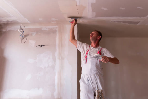 Best Fire-Damaged Drywall Repair  in Pleasant Hill, IA